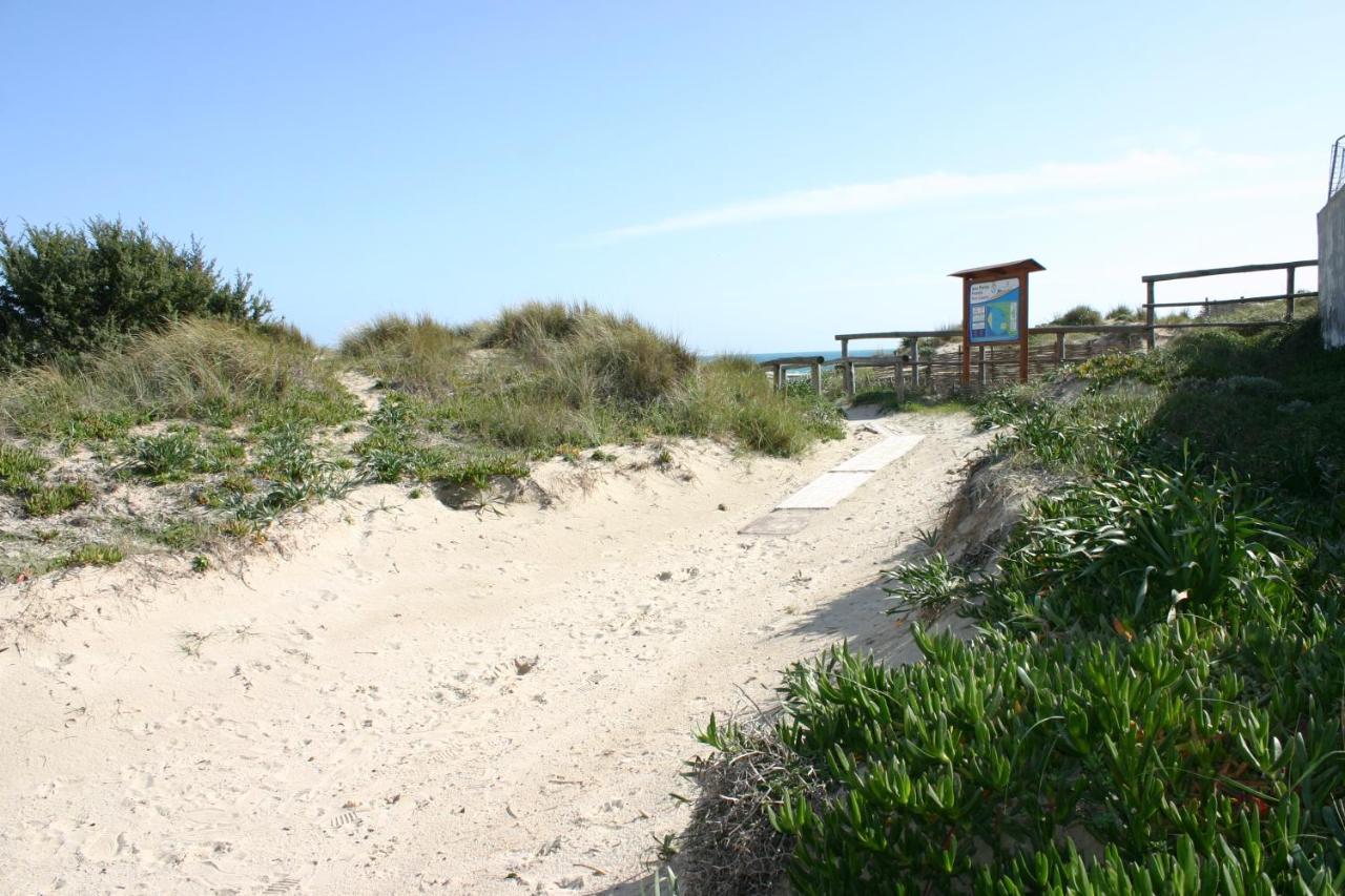 Casa Gino A 70 Mt Dalla Spiaggia Di Punta Prosciutto Villa Exterior foto