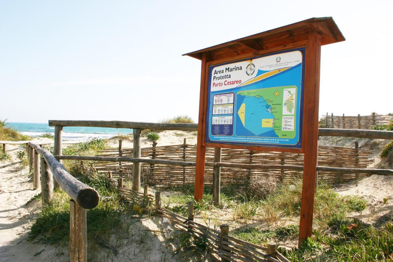 Casa Gino A 70 Mt Dalla Spiaggia Di Punta Prosciutto Villa Exterior foto