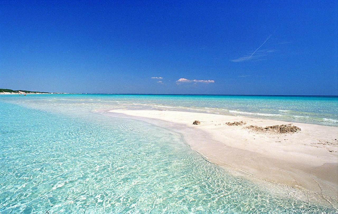 Casa Gino A 70 Mt Dalla Spiaggia Di Punta Prosciutto Villa Exterior foto